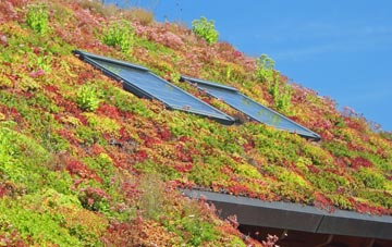 Aspull living roof systems